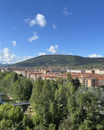 A scenic overlook of a city with dense green trees in the foreground, a river flowing through the middle ground, and a large hill rising behind a cluster of buildings with terracotta roofs under a blue sky.