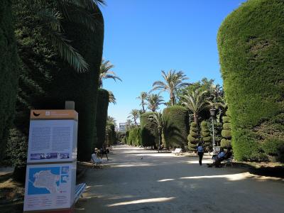 A wide, sunlit park pathway lined with tall, sculpted green hedges and palm trees, featuring an information kiosk on the left displaying a map and text about "Parque Genovés" and "Cádiz y su entorno."