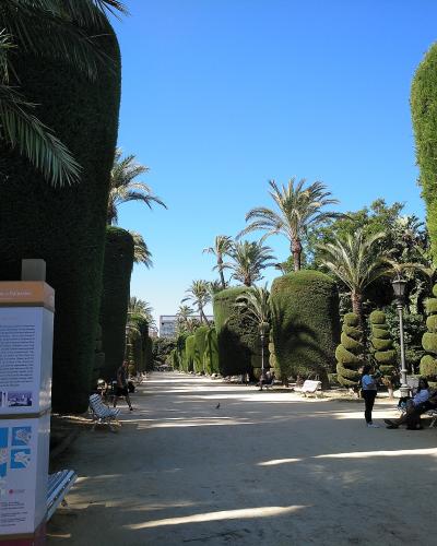 A wide, sunlit park pathway lined with tall, sculpted green hedges and palm trees, featuring an information kiosk on the left displaying a map and text about "Parque Genovés" and "Cádiz y su entorno."