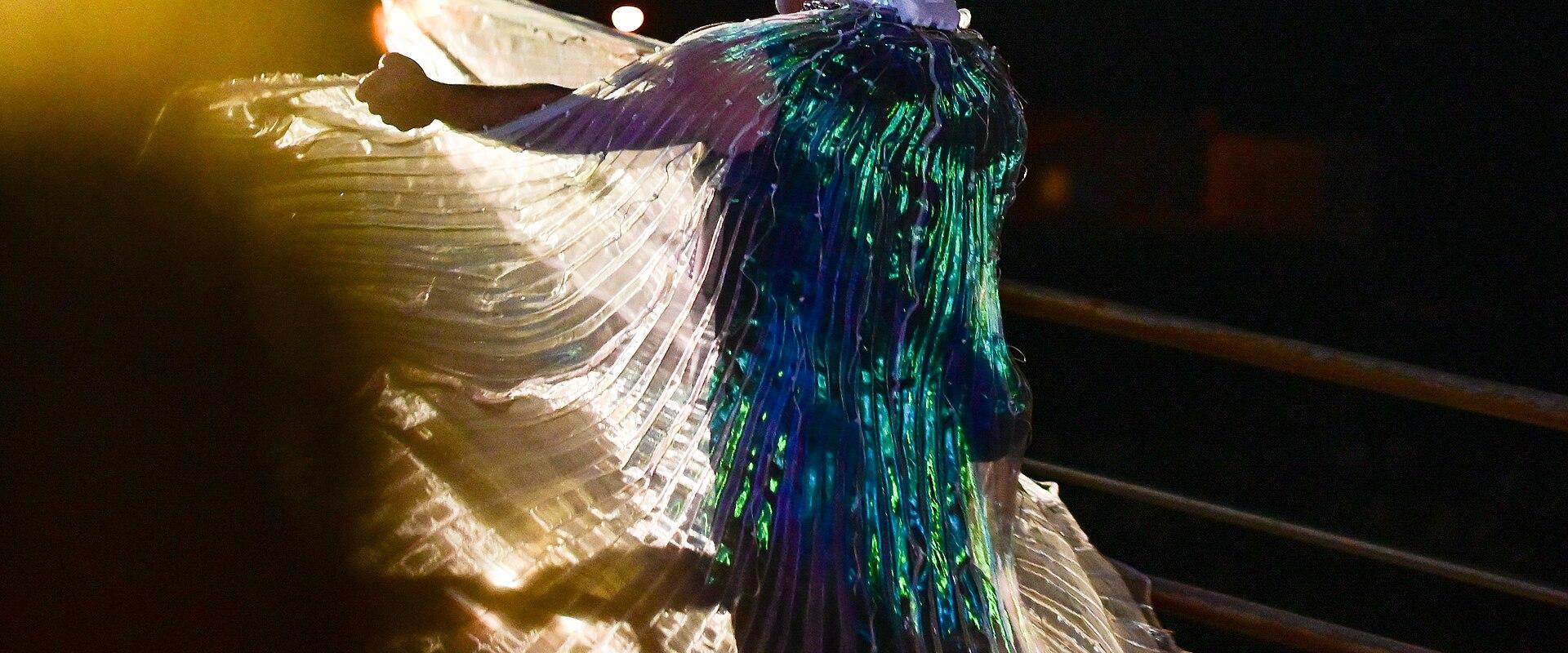 A person in an elaborate carnival costume with large translucent wings and a butterfly-adorned headdress, captured at night on a stage or platform with a railing.