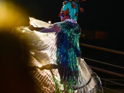 A person in an elaborate carnival costume with large translucent wings and a butterfly-adorned headdress, captured at night on a stage or platform with a railing.