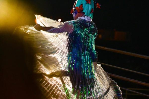 Tenerife Carnival