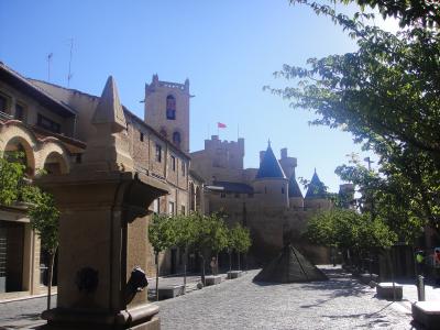 A cobblestone plaza with a stone fountain in the foreground, trees, and a medieval-style castle complex with conical-roofed towers and a flag flying in the background under a clear blue sky.