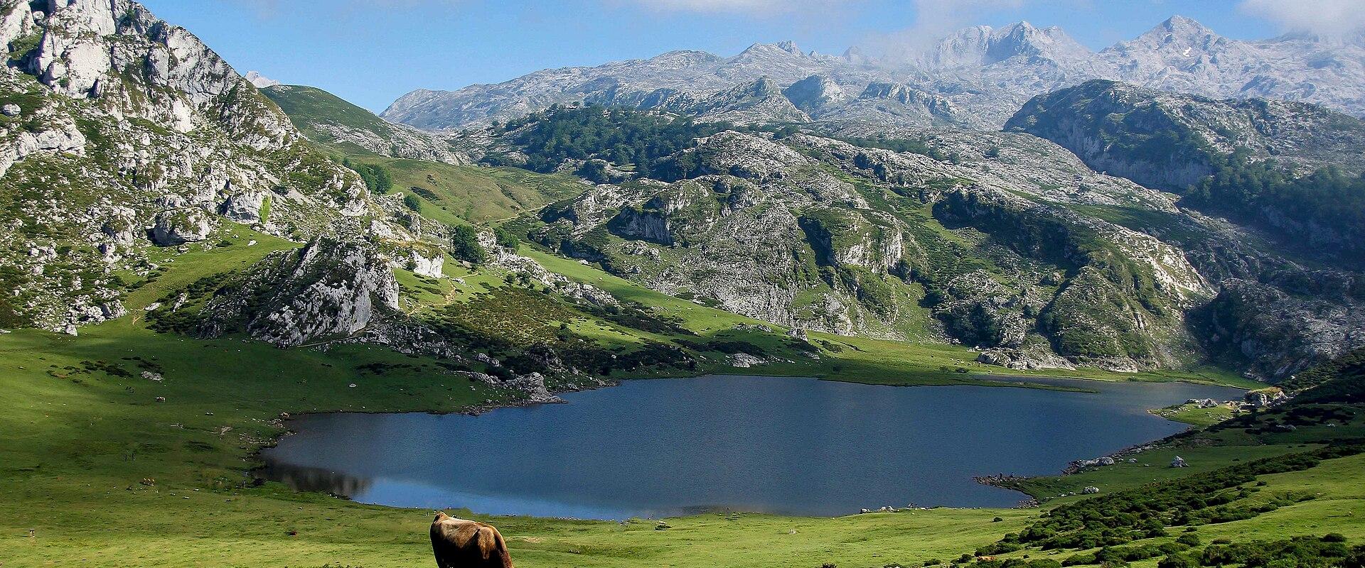 A glacial lake at the Lagos de Covadonga in the Picos de Europa, Asturias
