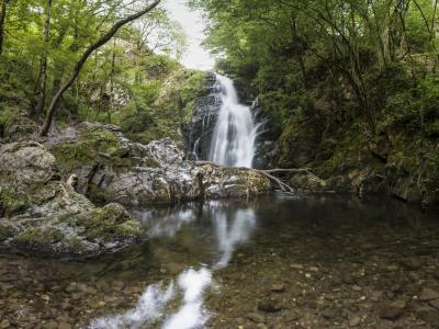 The image shows a waterfall cascading into a pool within a forest, with a "500px" watermark in the bottom left corner.