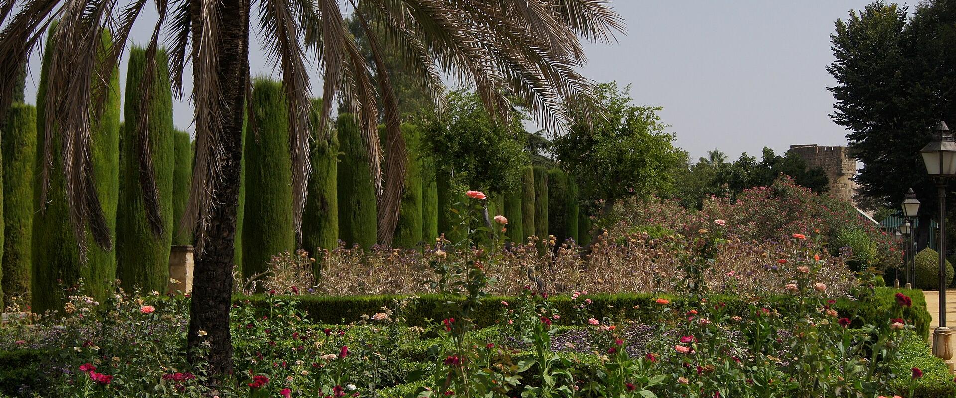 A formal garden featuring a large palm tree in the foreground, rows of tall cypress trees, rose bushes, and a stone tower visible in the background.