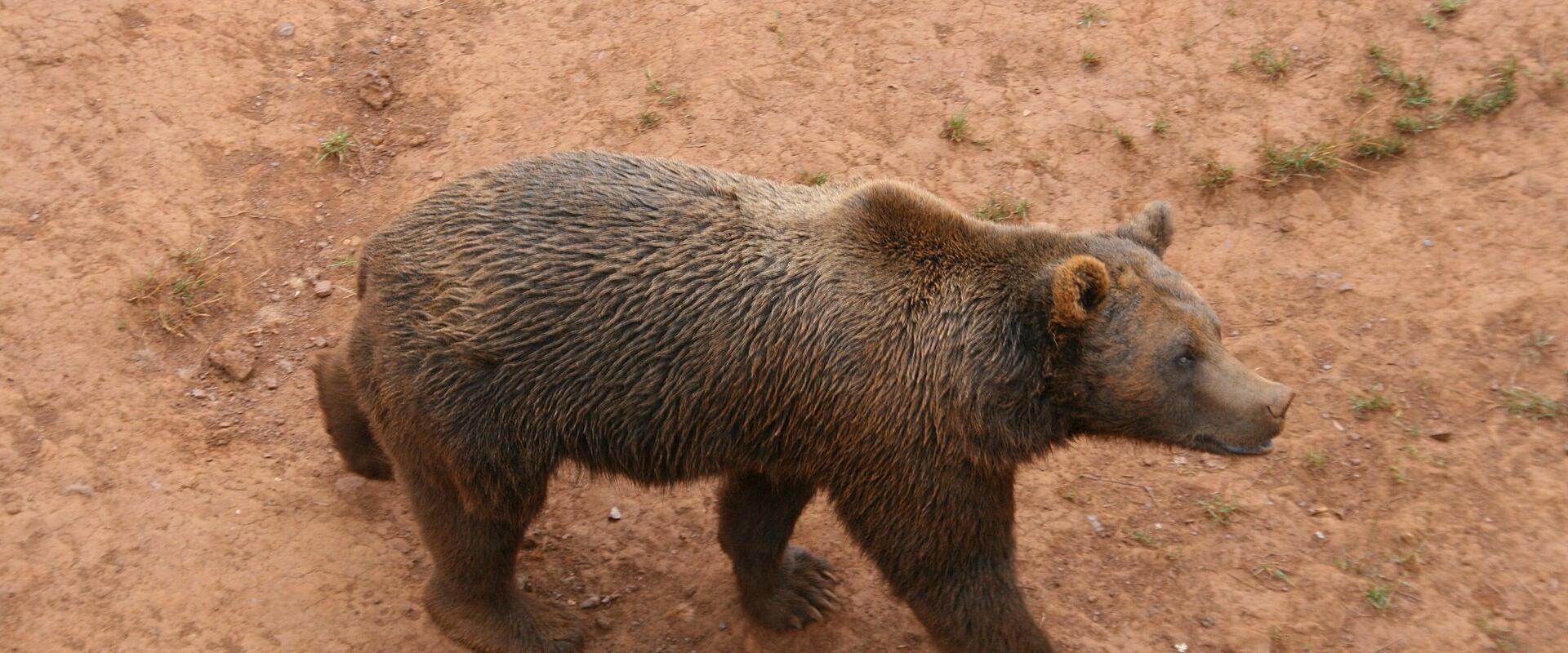 Parque de la Naturaleza de Cabárceno