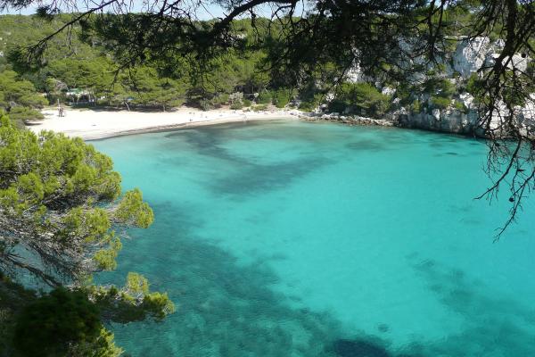 The turquoise cove of Cala Macarella framed by pines, Menorca