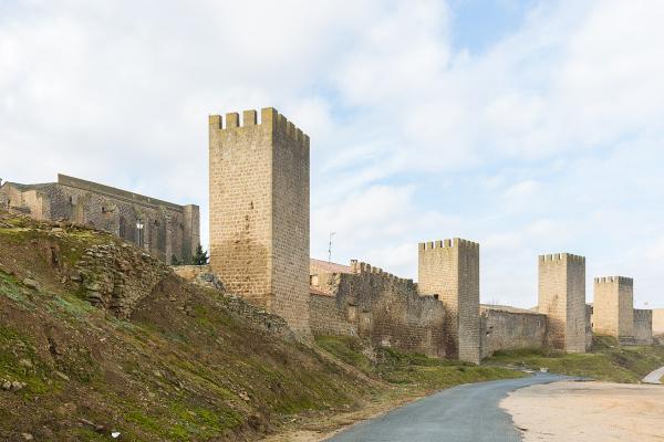 Castle of Artajona (Castillo de Artajona)