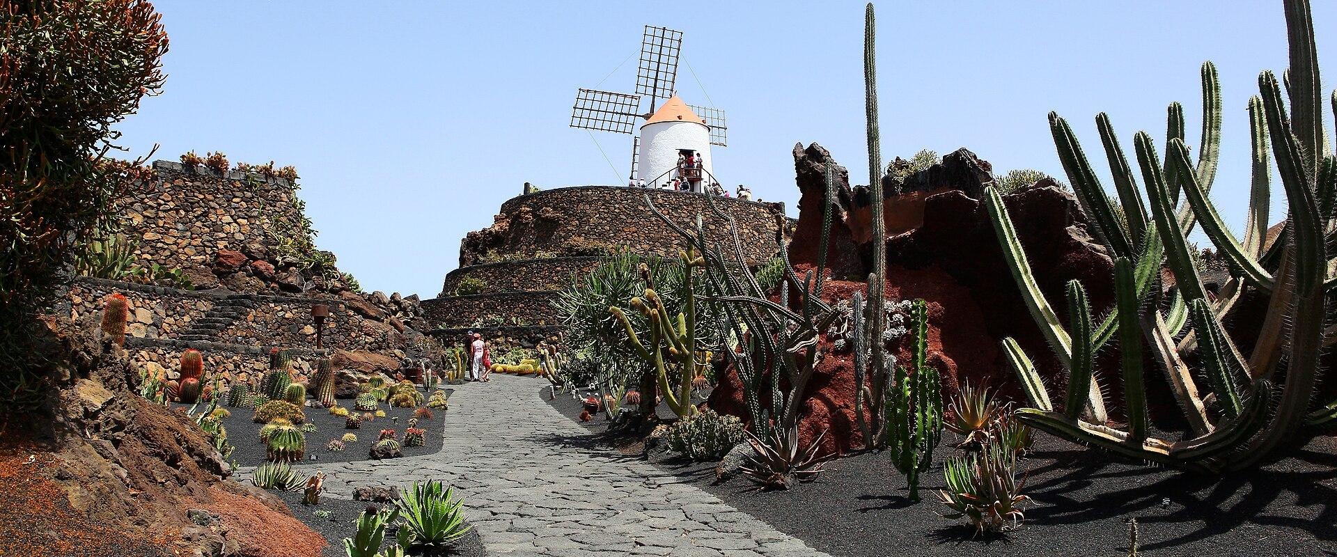 A paved stone pathway winds through a garden filled with various cacti and succulents planted in black volcanic soil, leading up to a white windmill situated on a raised stone platform.