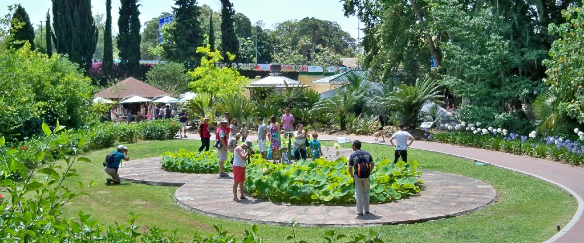 A garden walk in the Jardín Botánico-Histórico La Concepción, Málaga