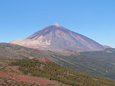 A large, conical stratovolcano with a distinct crater at its peak, viewed from a distance across a foreground of reddish volcanic soil and green pine forests under a clear blue sky.